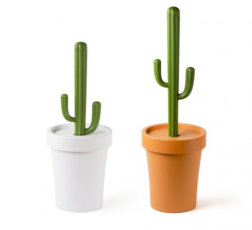cactus series