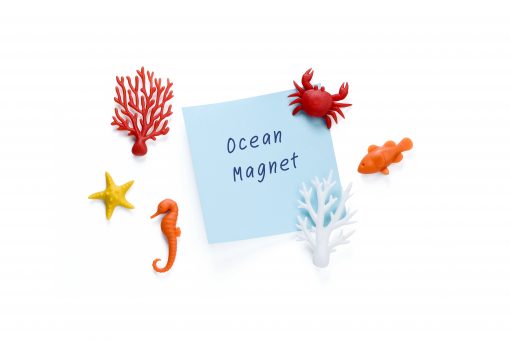 ocean magnet