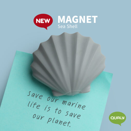 Magnet Sea Shell