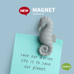 Magnet Seahorse